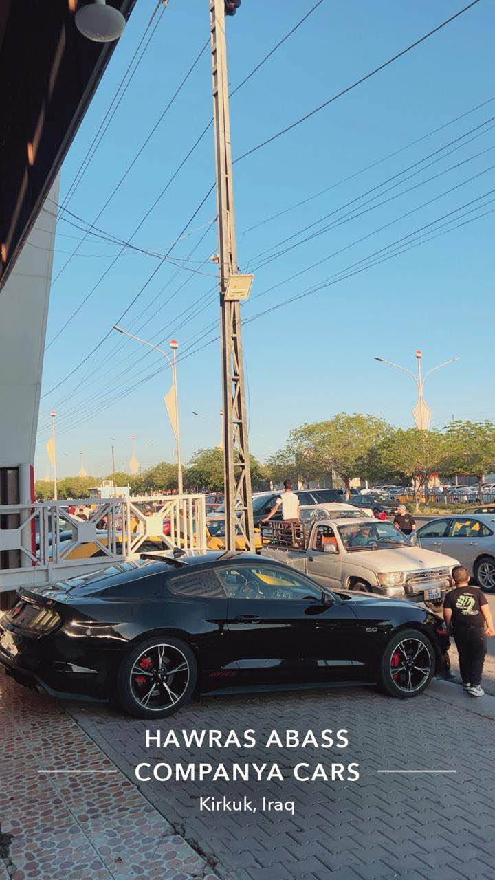 2022
30km 
Mustang CS CALIFORNIA 
SPECIAL  
10 نمر 
ديجتال 
اكتف اكزوز 
السيارة كامل مختمه سي اس بلادي 
الويل سي اس اصل 
رادار امامي وخلفي وجانبي 
مودات قيادة 
مودات قياد ستيرن 
كشنات ميموري خزن 
عليها تفريغ واكس بايب وبرمجة بوب كورن وكتوف 
ستيرن كاربون فايبر 
لحية 
السيارة مناقصها اي شي 
مكان السيارة كركوك 
بسعر مناسب 💥
للبيع او مراوس حسب القناعه 

*********** كركوك, العراق
