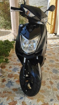 سكنكس شمعة • موديل ٢٠١٧ • خارج الحاوية