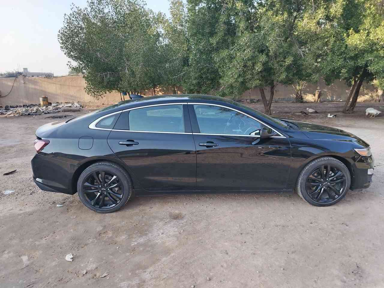 ماليبو 2023 lt معوقين كربلاء، وارد كندي، عداد كيلو متر، ضربتها قبق جنطة مبدل بواحد نفس اللون، ماشية 61 الف كيلو، نظيفة جدا، گير وتبريد وصدر وتايرات وكل السيارة ممتازة، ويل رياضي اسود، المحرك مبدل له گازگيت فقط.
مكان السيارة طويريج
السعر 120$

***********
