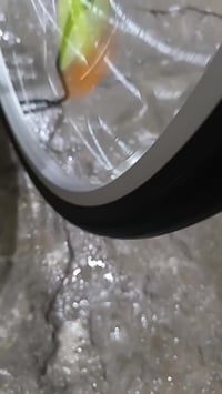 بايسكل ياباني • موديل ٢٢ • كفالة عامة