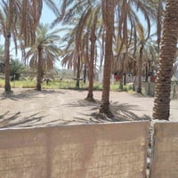 كربلاء الحر السواده • ١٠٠٠م • واجهة ٣٤م