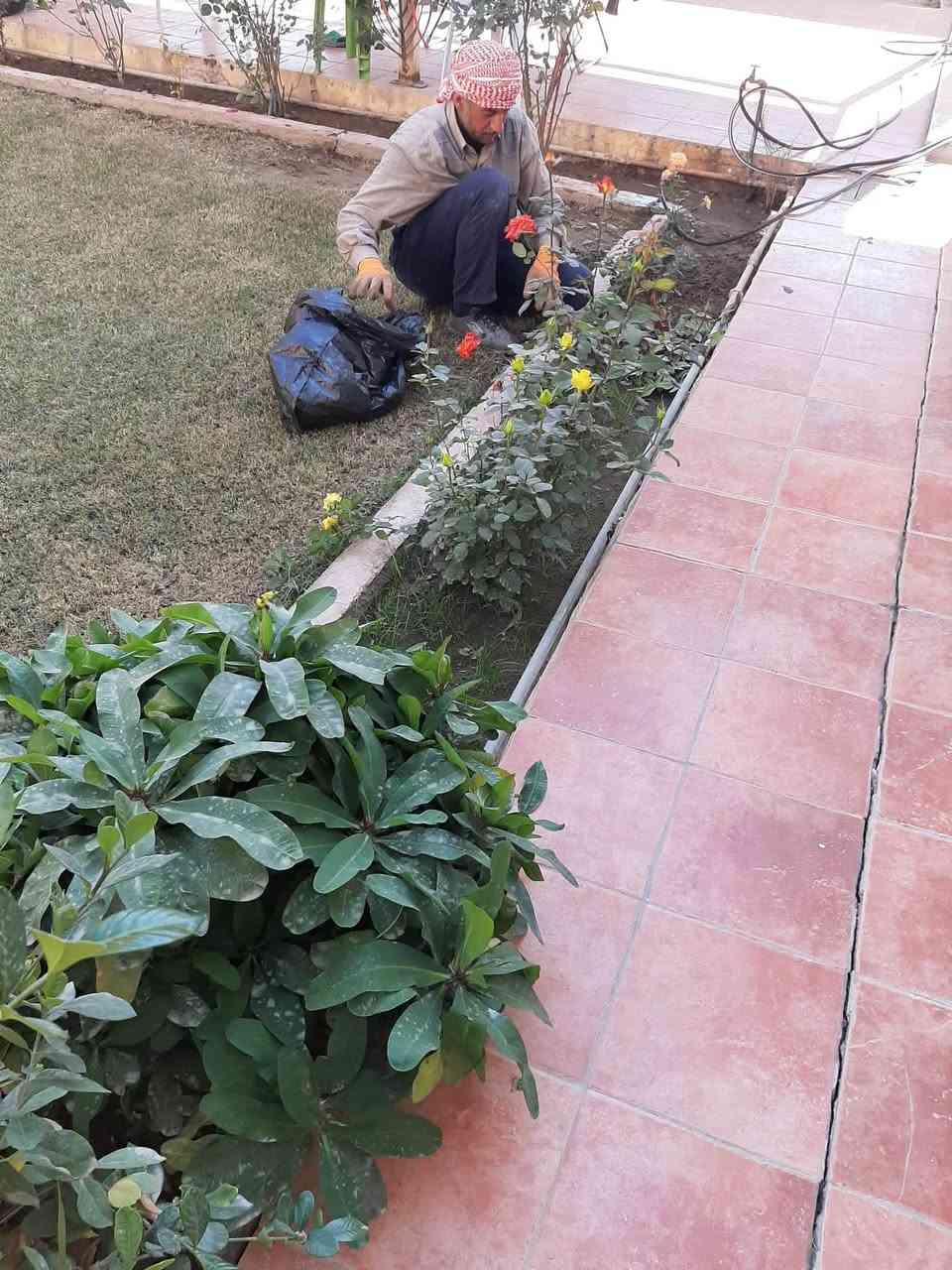 بيت +قطعه أرض متجاورين طابو صرف في الرمادي دور المخابرات (حي اليرموك ).
مساحه البيت ٢٢٧.٥م٢بواجهه ١٠م يتكون من طابقين استقبال .هول.٣ غرف نوم صالتين .مطبخ . صحيات ٢ + القطعه عبلره عن حديقه جانبيه  ٢٣٢.٥م٢ بواجهه ١٠م .
المنطقه مخدومه ١٠٠%  ماء .صرف صحي .كهرباء وارصفه وتبليط حديث ٨م .
العنوان فرع مدرسة بغداد والمدرسه التركيه ثاني فرع عاليسار ٤ و٥ بيت عاليسار 
ويبعد عن جامع محمد الفاتح ٦٠م ....
سعر المتر ٨٠٠ الف قابل للتفاوض...
ممكن البيع للكل او للجزء كل على حده ..
السند لكليهما باسمي ..ومسؤول  مسؤوليه مباشره عن التحويل ... *********** خالد عبد
