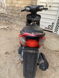 سكنس نثية • نظيفة • سلف