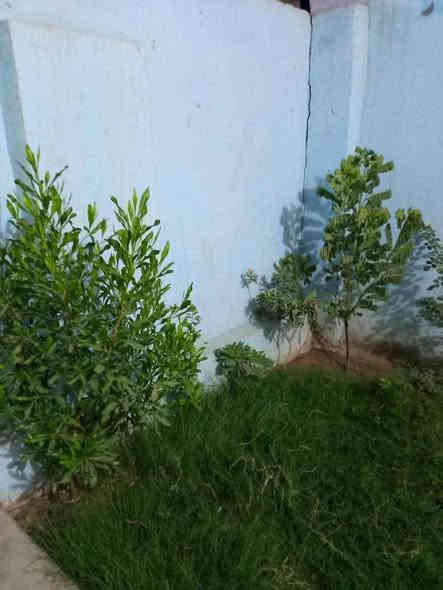 بيت للبيع طابو صرف مساحه 100متر طابق ونص بي يوجد في غرفيتن واستقبال ومطبخ وخدمات بناء نضيف جدا 🛑🛑العنوان بغداد لامين الثانيه سده جديده قرب ساحه زمن لسعر 120بي مجال 💸💸لتفاوض. لاستفسار اكثر خاص او تصال برقم ***********
