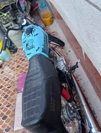 سافيني • طكت • كنعان