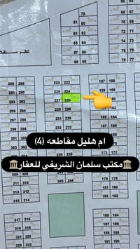 ام هليل • قطعة ٢٢٦ • ٢٠٠م