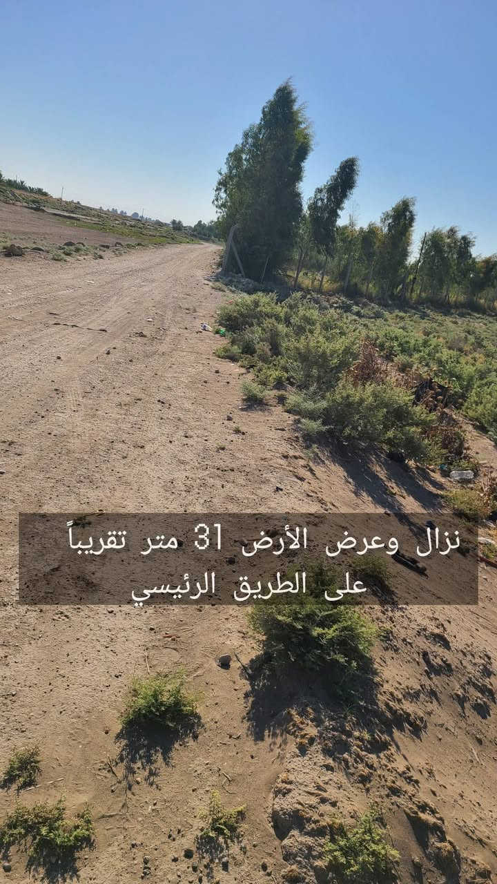 أرض للبيع دونم آله ربع الشيحة الثانية بالقرب من سريع ابوغريب بغداد
الأرض عقد زراعي غير طابو 
الأرض مكفولة تمامآ من صاحب الأرض والعقد وحالك حال الي اشتروا 
واجهة الأرض 31 متراً
الأرض عليها شارعين رئيسين كما موضح في الصور
الارض قريبة من الجسر العام والسريع كما موضح في الصور
الأرض لليوجد عليها اي مشاكل وتكاتب رسمياً
يوجد على الأرض خط كهرباء وماء
الأرض ملاصقة لمزرعة عائلية كما موضح في الصور
الأرض قابلة لمزرعة عائلية 
الأرض قابلة للسكن 
الأرض قابلة لجملونات او مخازن
الأرض غير قابل للشايليهات والتأجير 

الأرض امنة جداً جداً وقربها منطقة سكنية هادئة

سعر الأرض 55 مليون فقط ومقفولة

الموقع 📍/ ابوغريب بغداد خط السريع الشيحة الثانية قرب معمل حليب بلادي

للاستفسار واتساب فقط ( *********** )

.
