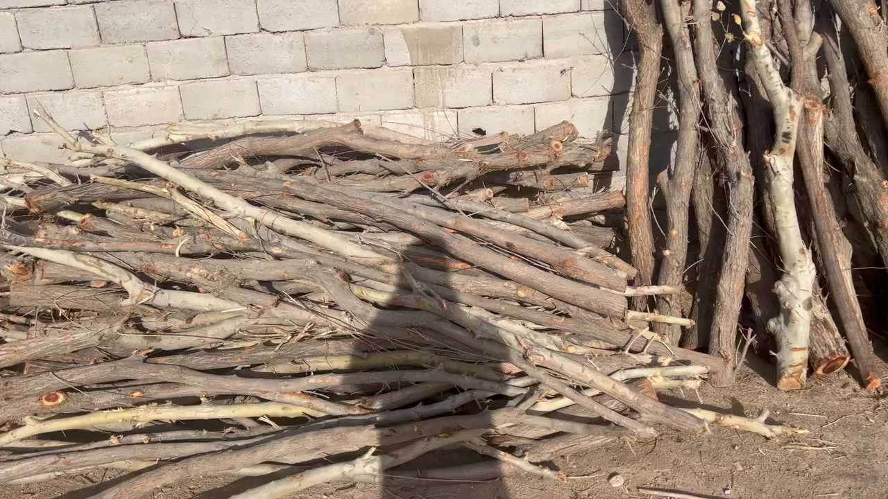 ربود البيع ربد بلف ويريد هاذه رقمي***********
