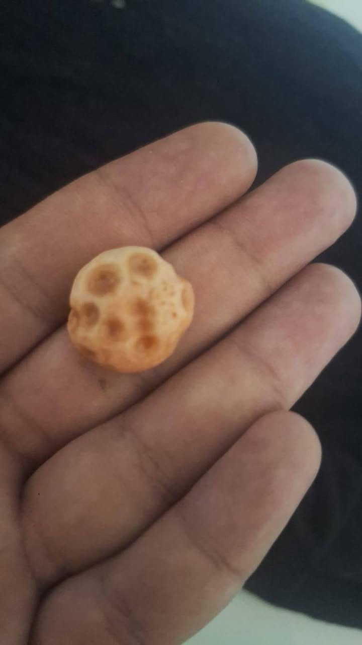احجار عطف نادرة


**إذا كنت صاحب هذا الإعلان وتريد حذفه لأي سبب، رجاءا أرسل رسالة إلى الدعم الفني**