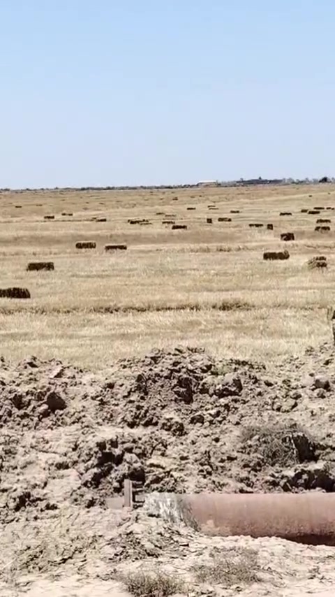 ارض زراعي للبيع 
ارض زراعية للبيع سند 35  خصبة جدا تقع على نهر المالح مباشرة  كما موضع في الفديو و الصور ولها بزل خاص بها على طول الارض معدله ليزر و الكاع خير من الله عنوان الارض جبلة قرية الصمود و تبعد عن مركز جبله نصف ساعه  سعر الدونم مليونين و نصف للتفاصيل الاتصال على  سبب البيع عدم التفرغ
***********
***********
