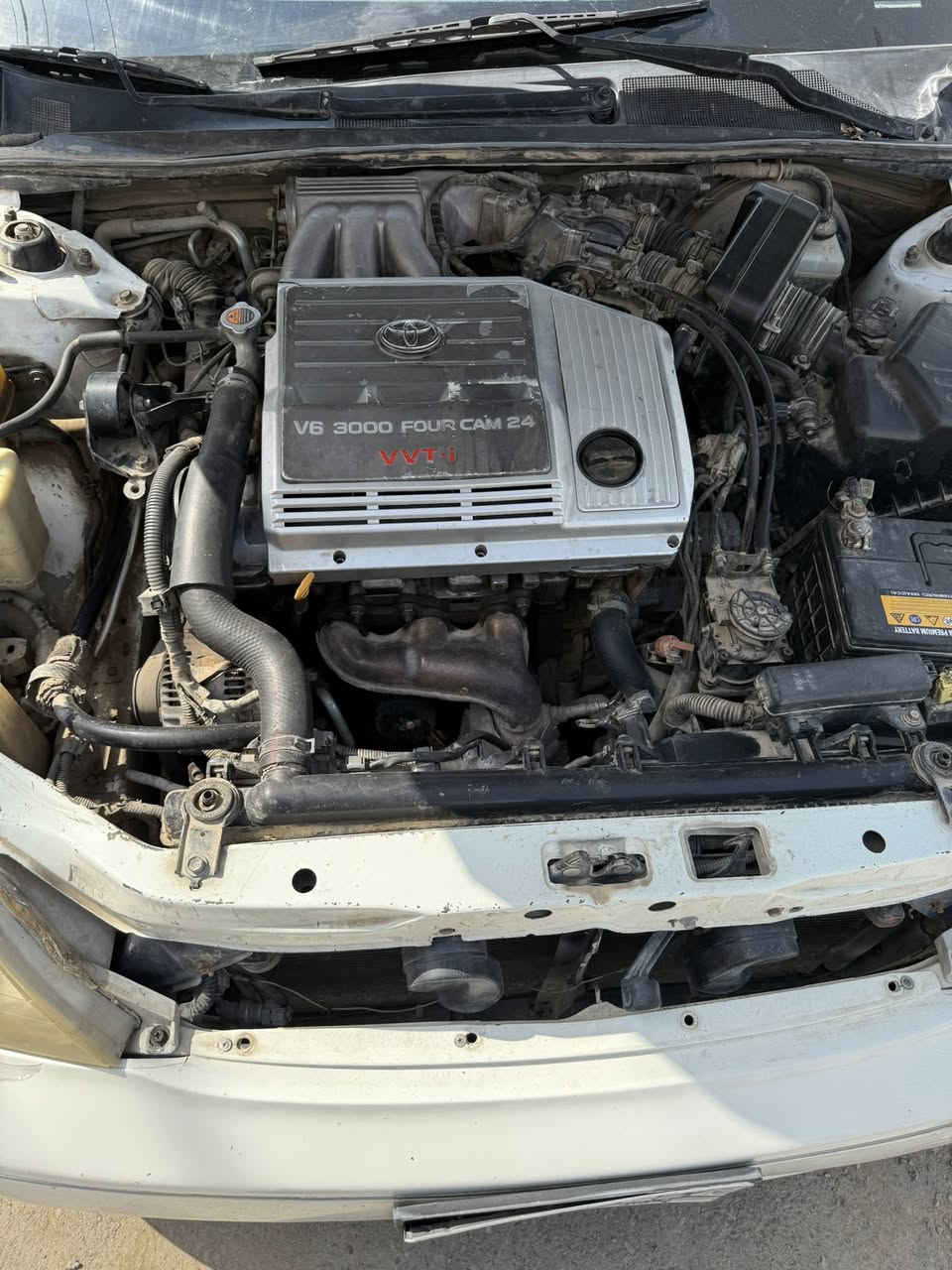 السلام عليكم 
افلون لون صدفي
موديل ٢٠٠١
صبغ حزام
صدر امامي وخلفي جديد
كير ومحرك مكفولات
فتحة
مابيها اي نقص ولله الحمد
السعر ٦٨ وبيها مجال شوية حگ الجية
العنوان/ ديالى 
الاتصال/ ***********
