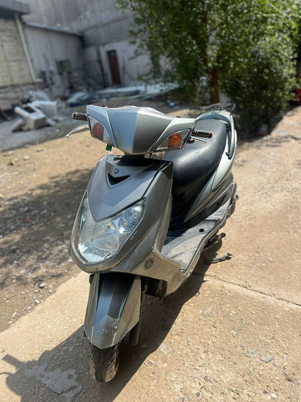 السلام عليكم 
سكنس فحل للبيع فول نظافه 
العنوان بغداد 
***********
