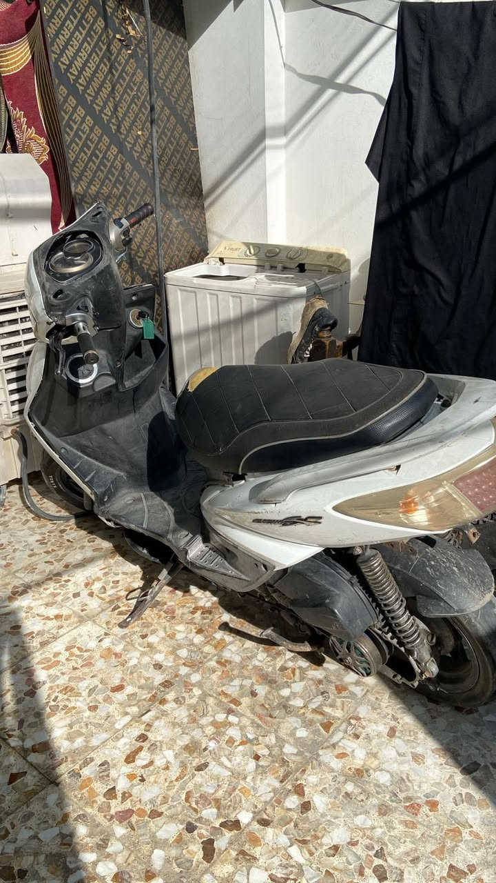 سكنس فحل نوزل خطين مكاني بغداد الشعب سعر ٤٢٥ ***********
