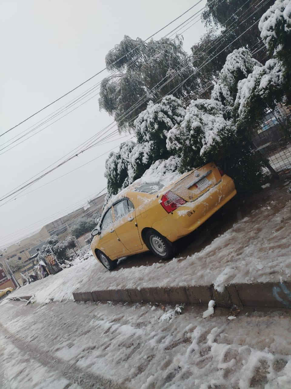 السلام عليكم ليفان ٦٢٠ بلا ضرر بلا صبغ محرك كير شرط(كير توماتيك) طخم وراه كدام جديد تايات جدد باتري جديد المكان موصل أيسر *********** السعر 43 وبيه مجال
