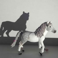 شلايش اصلي • مجموعة