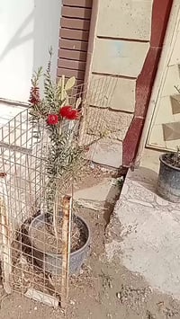 قضاء سومر • طريق ديوانيه • مدينة الروان