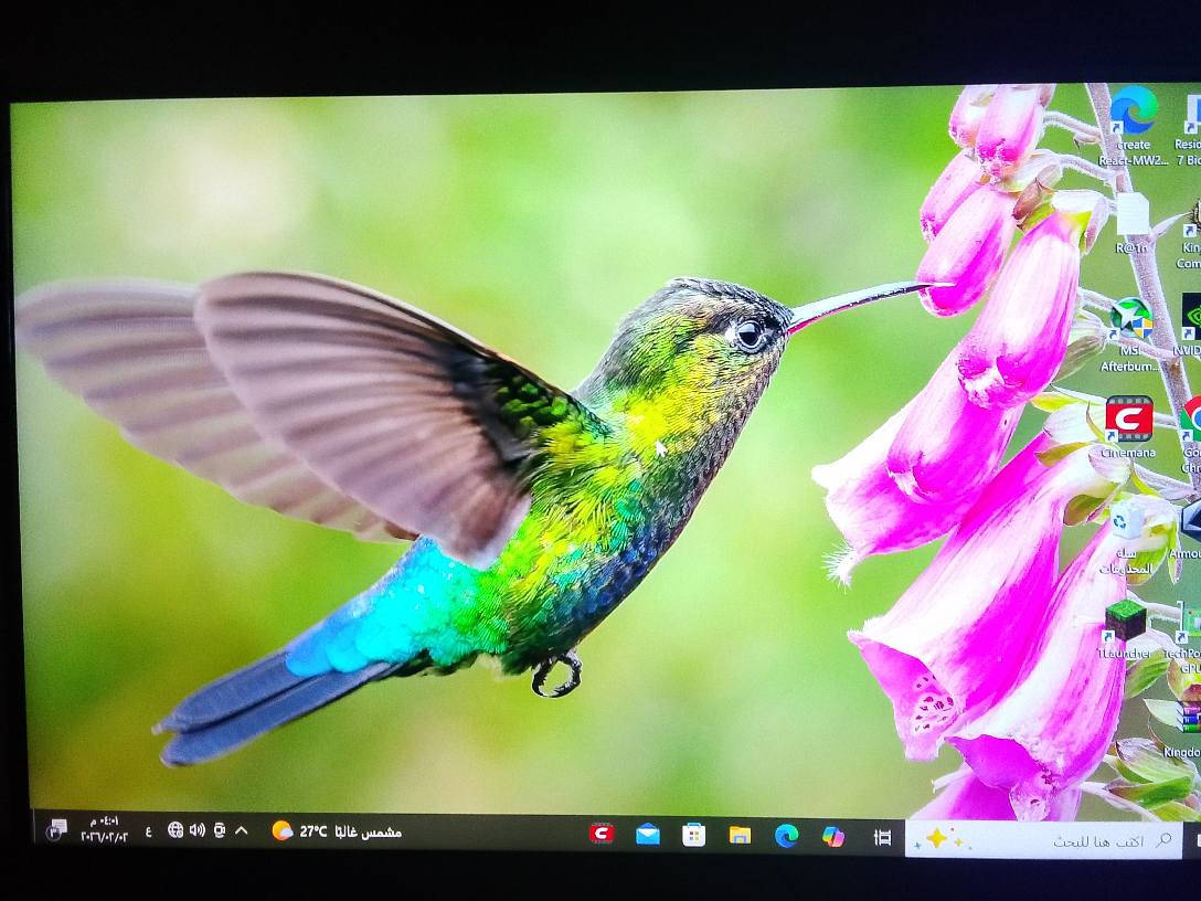 سلام عليكم توفر شاشة مونتر حجم 13.3
دقة 2.5K
60 هيرتز
بسعر 60الف فقط  
تواصل ***********
