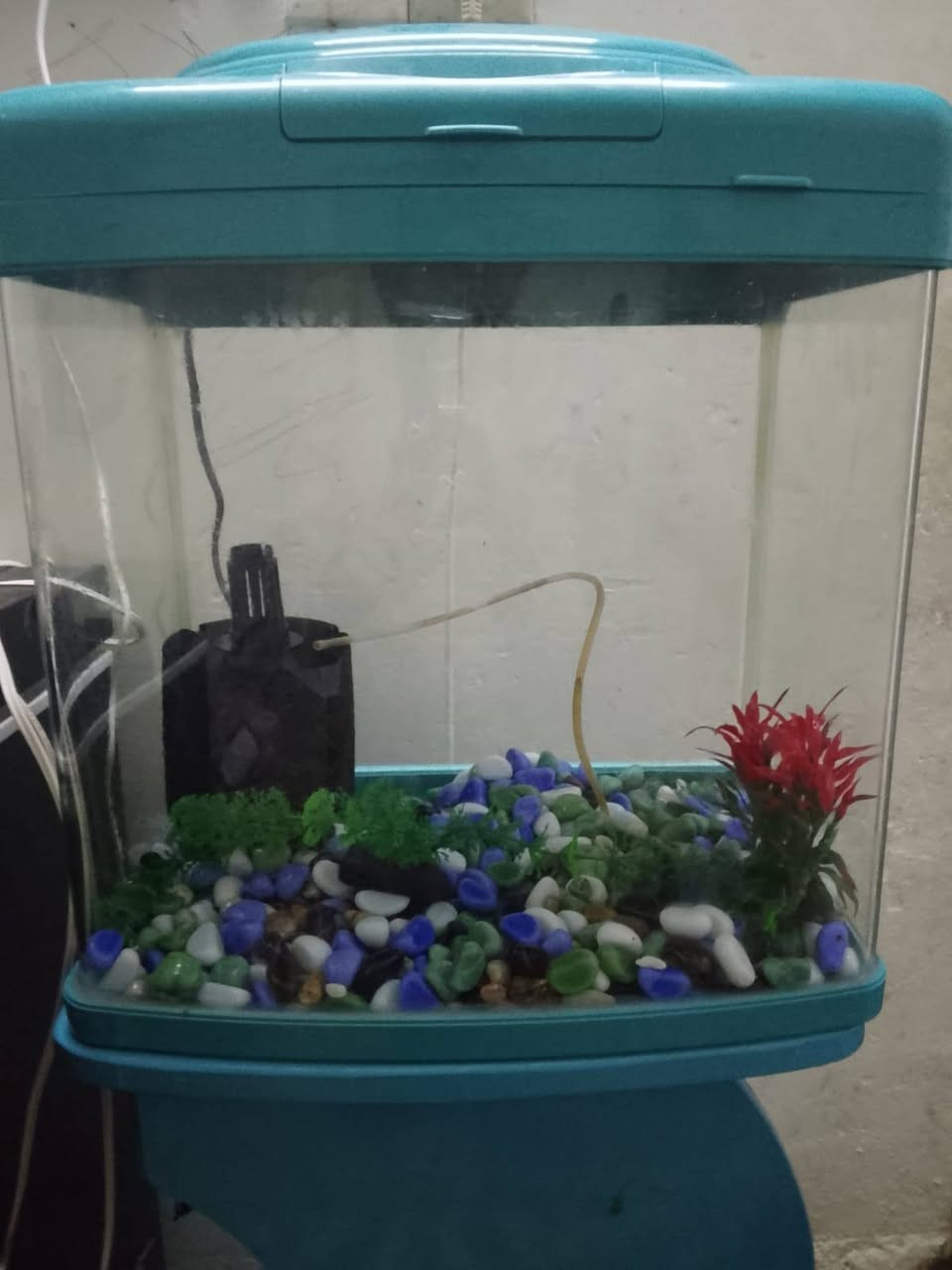 عندي هاي الحوض مال سمج زينه للبيع الشراي يجي خاص


**إذا كنت صاحب هذا الإعلان وتريد حذفه لأي سبب، رجاءا أرسل رسالة إلى الدعم الفني**