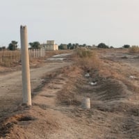 صوب بني ركاب • ٧٠٠م • كاع زراعيه