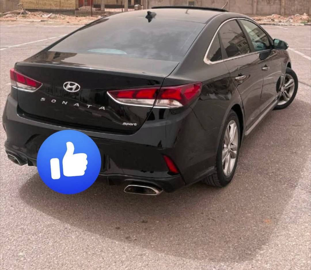 السلام عليكم سونات موديل 2019فول واحد على واحد حادثه مال امريكه قماره وجاملغ جهت السايق الخلفي ابيع صبغ صبغ عام جنطه وبجم كبس مال شركه بيع او مراوس 
اكسنت سيراتو النترا 
رقم سياره كربلاء 
عنوان كربلاء 
السعر 105وبيها مجال غير متواجد على الفيس 
***********
***********بي واتساب
