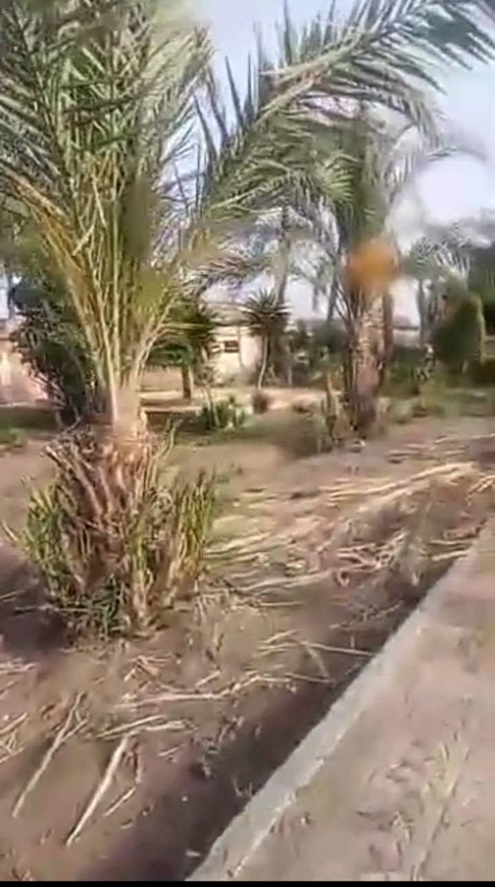٢٨فدان محاصيل  البيع ✨ 
📌عالطريق الزراعي مباشره
📌 بين كفر الدوار وابو حمص 
📌فيهم فيلا واستراحه عمال
📌للتواصل: 01029105427


**إذا كنت صاحب هذا الإعلان وتريد حذفه لأي سبب، رجاءا أرسل رسالة إلى الدعم الفني**