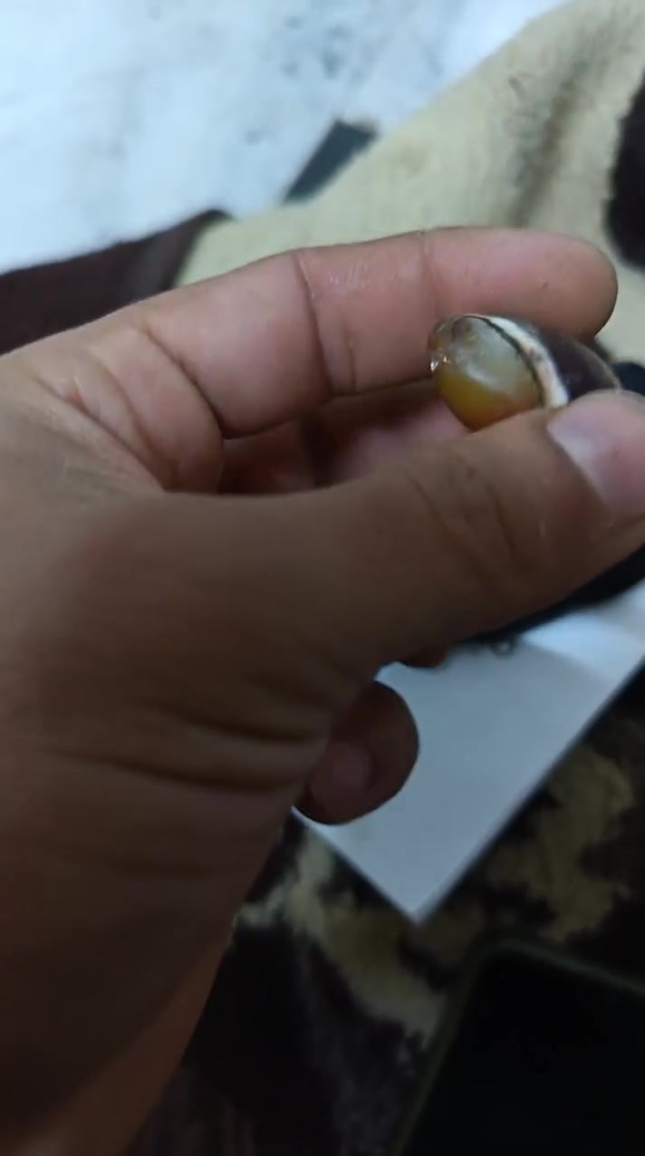 سلام عليكم الحجار لبيع سعر خاص


**إذا كنت صاحب هذا الإعلان وتريد حذفه لأي سبب، رجاءا أرسل رسالة إلى الدعم الفني**