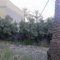 نزال البعبود • ٢٦٩م • طابو زراعي