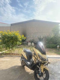 سكنس • ٢٠٢٣ • زنون