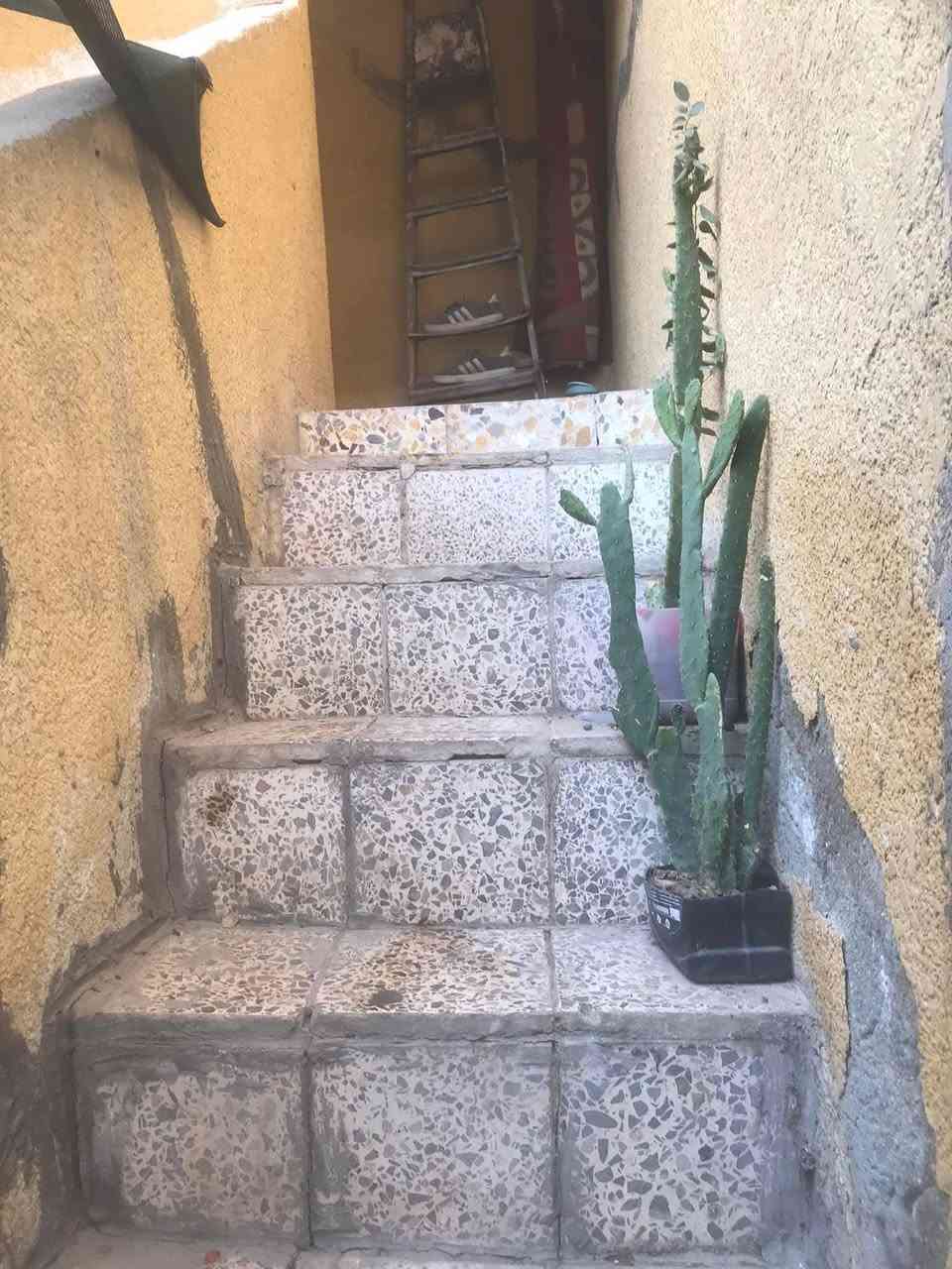 للبيع نص قطعه خلفيه عكاده بجوادر قطاع ٣٨قريبه على الشارع العام غرفتين وملحقاته السعر66 وبيه مجال هاتف ***********
