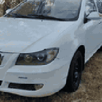 ليفان ٥٢٠ • ٢٠١٣ • واسط نعمانيه