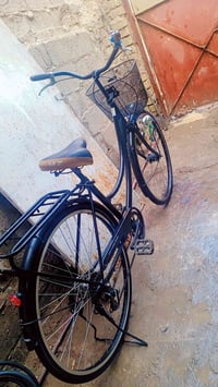 باسكل ياباني • نظيف • بغداد