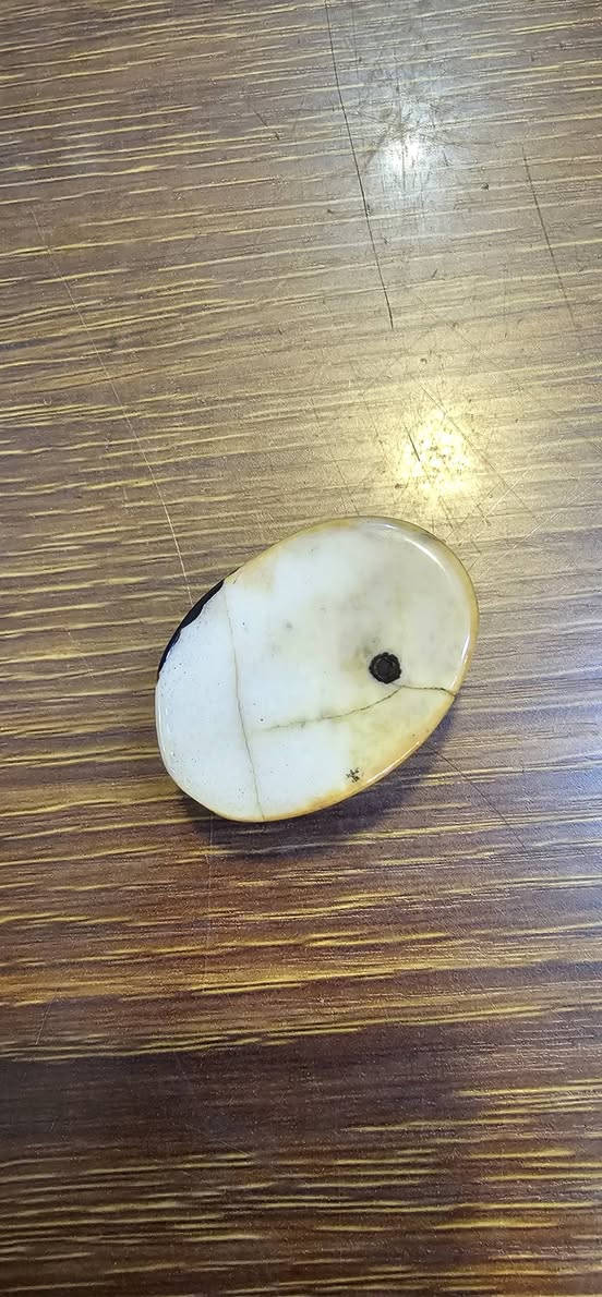 تمعن بيه زين
الي يريده خلي يتصل او يراسل وات وبالخدمه 
***********
