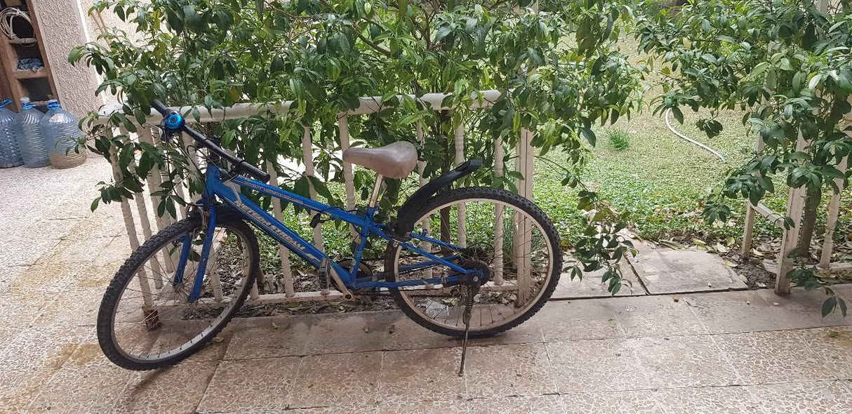 محجل مال حديقه ٣ قطع  وقوس
وباب تيل عدد ٢ قياس ٩٠ في ١٩٠
***********
@الجميع
