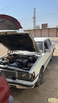 بغداد صدامي • مكينه ٢٫٥ • بدون صبغ