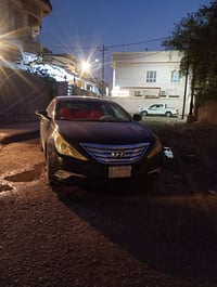 سوناتا • ٢٠١٣ • وارد كوري