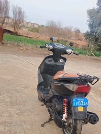 ياباني • دبلات شغاله • ديوانيه دغاره