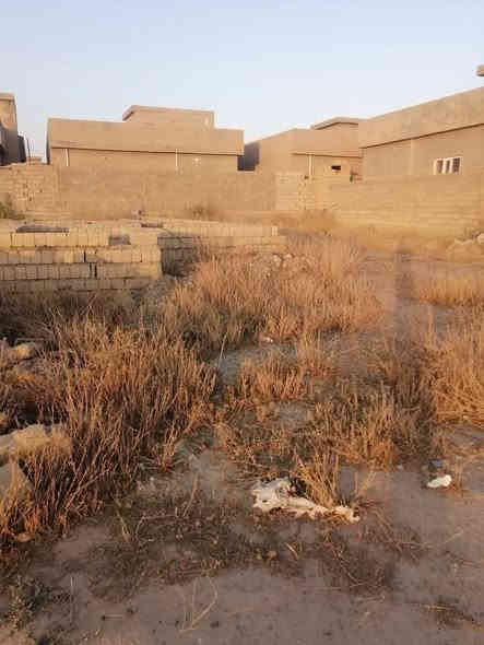 السلام عليكم ورحمه الله وبركاته يوجد قطعه ارض للبيع داخل قضاء العلم بالقرب من معمل سلوان  مساحة 250 م.  ويوجد فيها أساس تكعيب . للاستفسار الاتصال على الرقم ***********
#لحد يراسلني خابرو ع الرقم اني مكلف بالنشر
