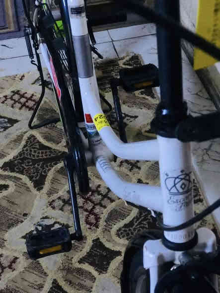 سلام عليكم بايسكل موديل١٤للبيع مال بالة ماصار سبوع من خذتة للبيع ب١٤٠وبي مجال حك جية المكان بغداد جسر ديالة فلكت سلمان باك واتساب***********
