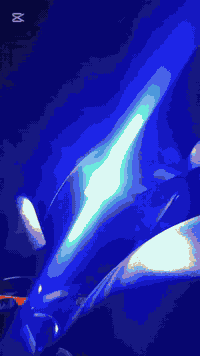 دراجة شحن • R11 • بعقوبة لسادة