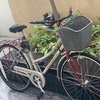 بايسكل الماني حجم 28 للتواصل والاستفسار الاتصال على هذا الرقم 07737559...