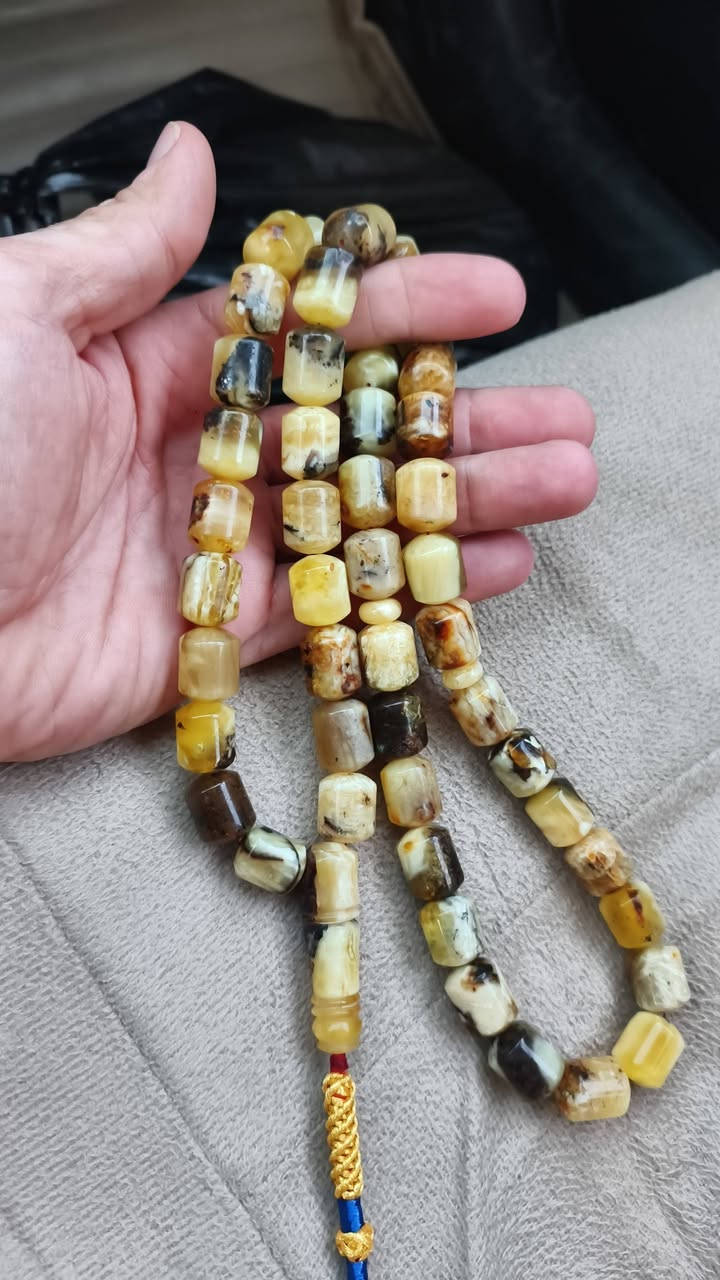 كهرب بولوني كلوحده وسعره المهتم يتفضل عله الرقم ويدلل
***********
