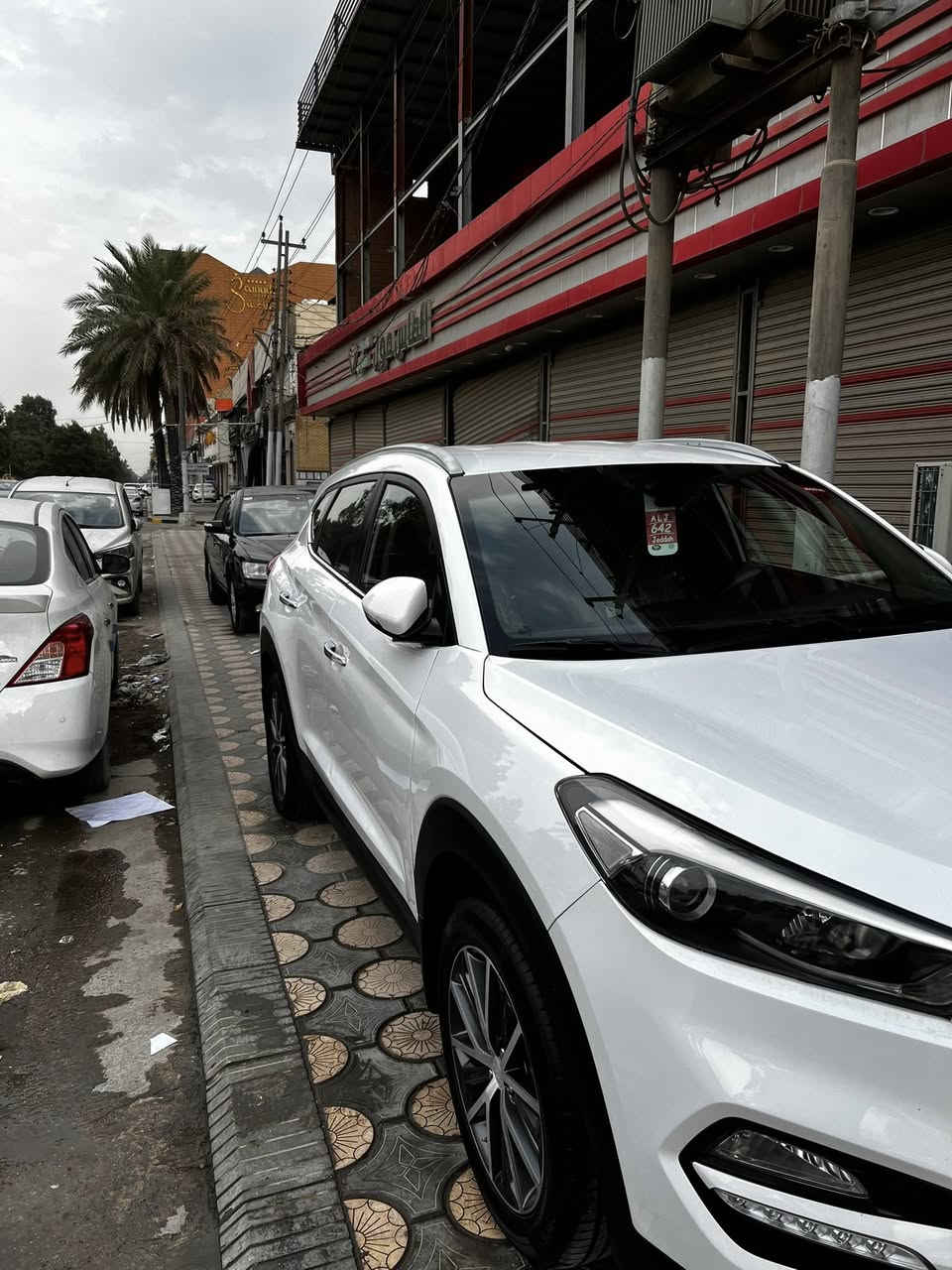 ❤️🤍للبيع16 خابر وتدلل***********
