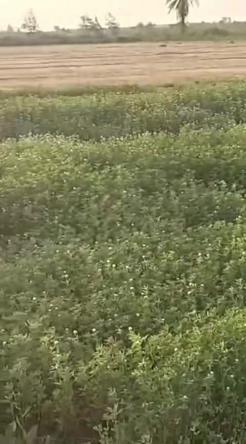 قطعة ارض للبيع 18 فدان🌾
طريق مصر اسيوط الغربى 35 دقيقه من ميدان الرماية 
الأرض ملك مسجل عقد اخضر شهر عقاري بها محول كهرباء خاص بها مياه شرب  المياه رى نيلى بتشرب غمر بها كارت فلاح صالحه لجميع الزراعات والمحاصيل 
ملحوظة: الارض قابلة للتجزئة 
للتواصل ☎️📲
01037889227
01065742705
01153749282


**إذا كنت صاحب هذا الإعلان وتريد حذفه لأي سبب، رجاءا أرسل رسالة إلى الدعم الفني**