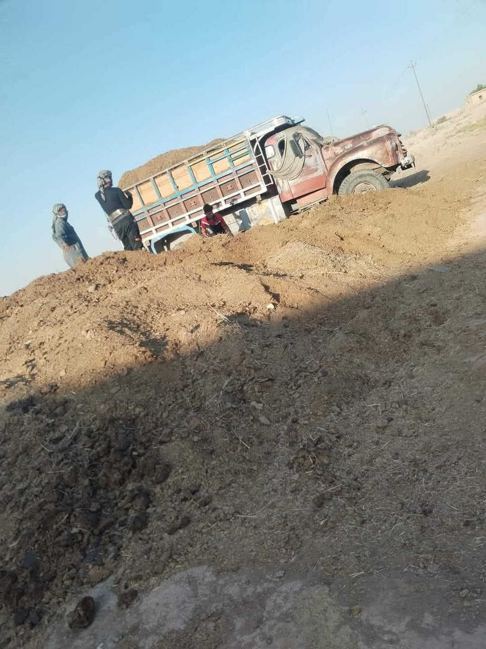 السلام عليكم دمن غنم دمن هوش دمن دواجن توصيل ديالى بغداد صلاح الدين/***********/***********
