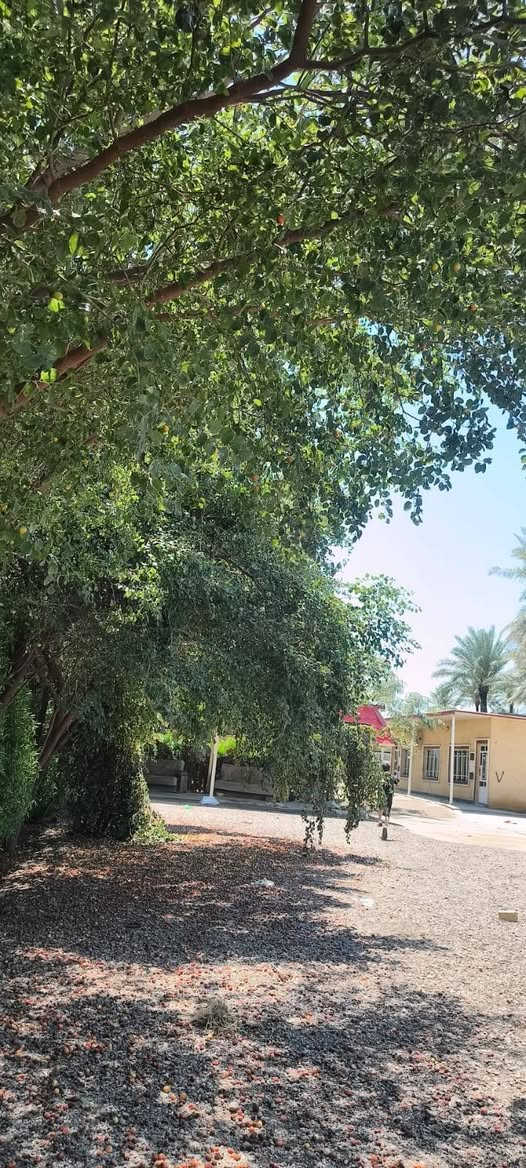 سلام عليكم دونم لبيع سند 25 تحويل بسم مشتري بي بيت بسيط مثل ماواضح بصور موقع كوريش قرب سيطر ٧٥مقبيل كليه ابن خلدون سعر خاص *********** بي واساب

