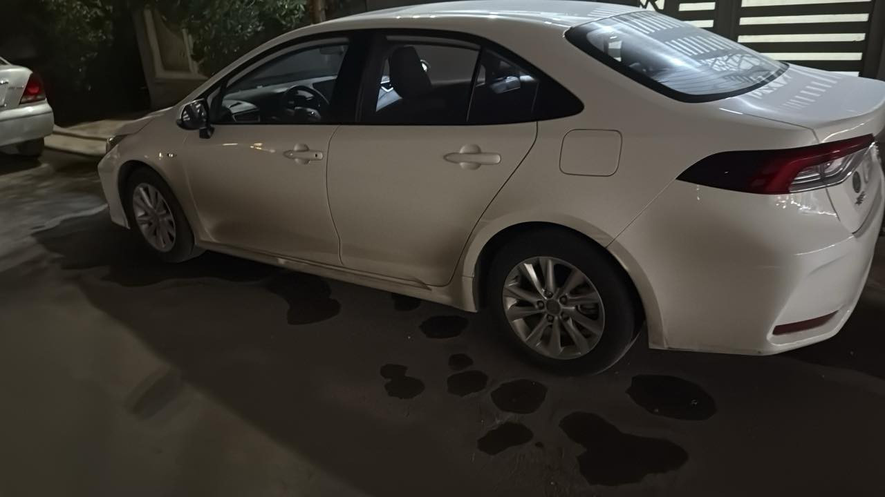 السلام عليكم

كورلا هايبرد 2025 وضع الزيرو السيارة ماشية 3000 كيلو مترمكفولة كفاله عامة من صبغ وبارد ب اسمي تحويل ثاني يوم  مكاني بغداد الجديده 
***********

المواصفات

مكينه 1800 هايبرد 

سلايت 

كراسي جلد اصلي+ دركة جلد وحياكه  

رادار + تحديد مسار طريق + قيادة ذاتيه 

بصمة تشغيل + دخول ذكي  

هاندر بريك بصمة + اوتوهولد

شاشه تبريد بيانو + كامره خلفيه دوارة + كار بلي 

تبريد قطعتين 

لايت زينون عالي ناصي + بروجكتر لد زينون + لد صباحي زينون+ بكلايت لد 

 حساس اطار + حساس مطر + حساس لايت داينمك عالي ناصي اوتو 
+ مود درايف 

 تحكم  الستيرن كامل مع كروس سرعه
