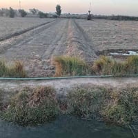 النواصر • ٦دونم • طابو زراعي