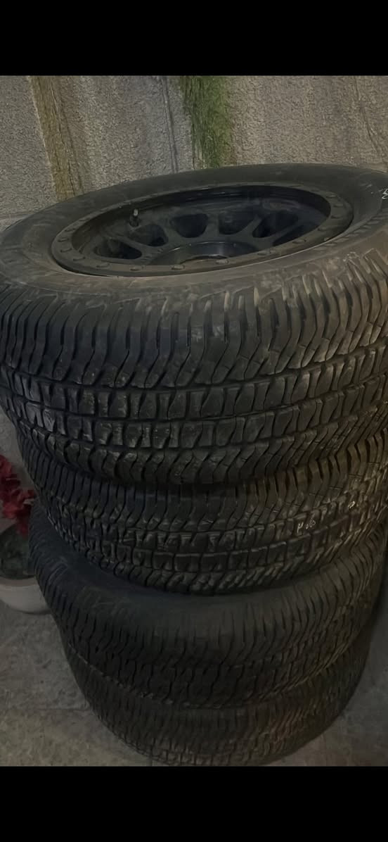 عندي تخم ويل ميثود اصلي 18 للبيع المكان بغداد
رقم الهاتف ***********
