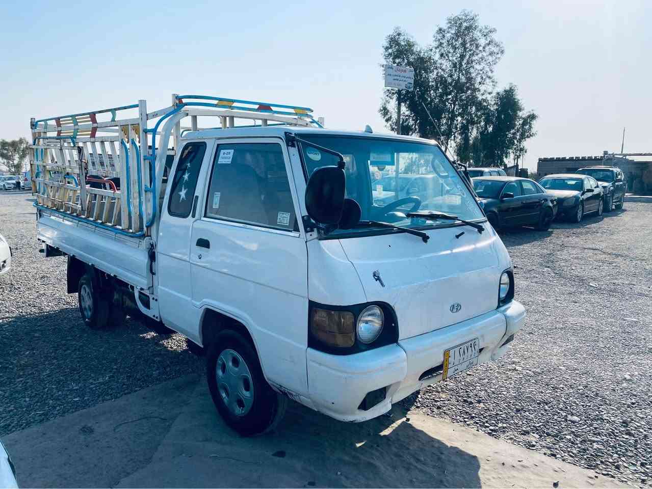 كير مه كينه ئه كسل شانسى به شهرت ئه وهلات به شهرت فه حس و ههزه به شهرت ساحيب سهنهوى له دهرهوهى وهلاتهق.
*********** أربيل, العراق
