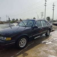 برنس • موديل ٩٥ • ديالى